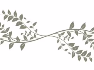 N/A