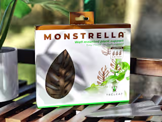 Monstrella | Wood Trellis