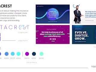 DataCrest Brand and Visual Identity