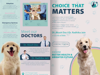 Brochures and Flyers