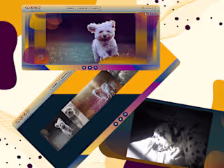 Dogs-Web