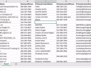 Data Scraping and Analysis for Market Research