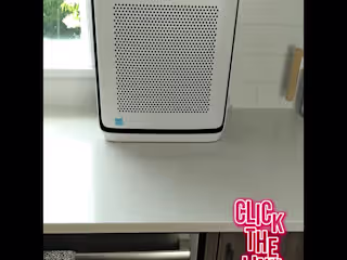 TikTok Ads