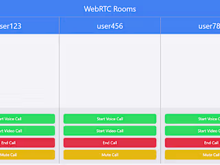WebSocket WebRTC App