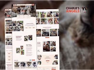 Charlie's Angels | Foster Home-Based Dog & Cat Rescue