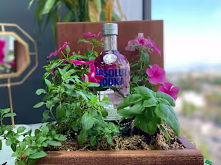 Absolut Garden – Earth Day Activation