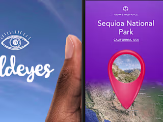 Wildeyes VR App