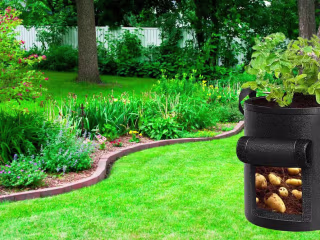 Best Grow Bags for Sweet Potatoes: Top 5 Recommended Bags of 20…