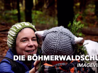 Die Böhmerwaldschule | image video