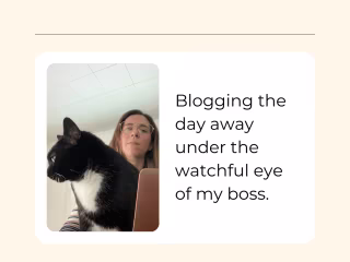 Blog Creation