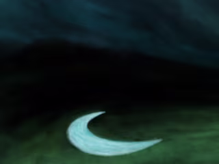 Illustrations (2024)