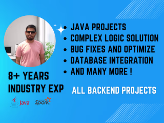 Java Project and Bug Fixing
