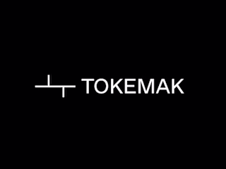 Tokemak Research Paper