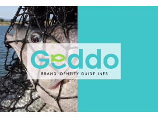 Logo Design for a Fish Company