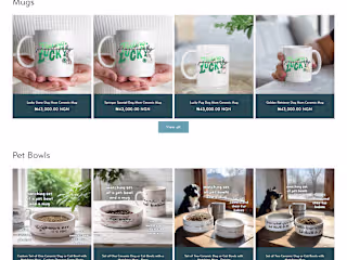 Shopify Website Design for Fun Blurbs