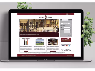 Website Design and Management