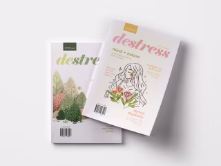 Destress Reimagined