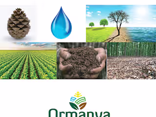 Ormanya Brand Logo Design Story