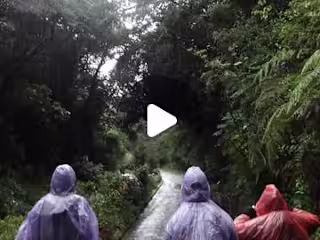 Costa Rica Travel Reel (IG)