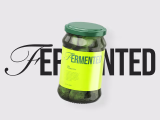 Fermented - 3 features -Wix Studio Social