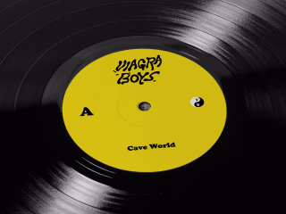 Vinyl Design