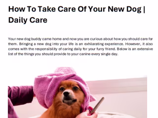 Pet Care Article
