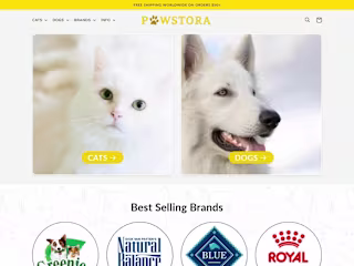 Vision to Reality: Building Pawstora's Store 