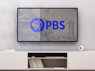 Empowering Change: Public Broadcasting Service