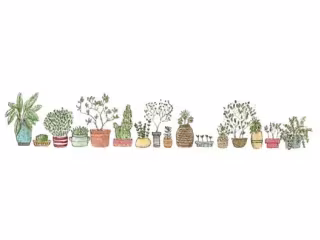 Article: Nature Clubs