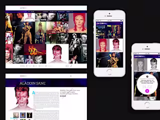 David Bowie Manifestation