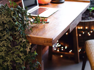 Website creation 