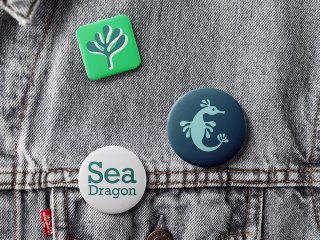 Seadragon Publishing: Brand Identity