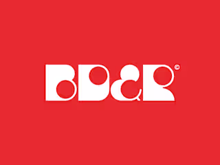 Brave Duck + Robots - Brand Identity