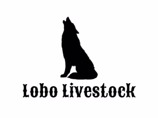 Lobo Livestock