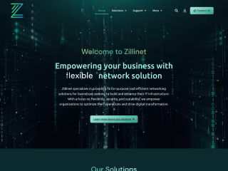 Zillinet - Networking Solutions Website Development