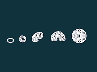 🌀 [Brand Identity] Hewwi