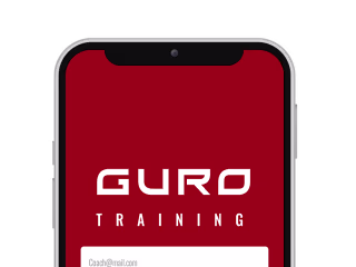 GURO Box | Visual Designer - Developer