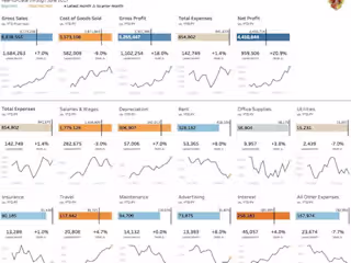 Data Analysis and Visualization for profit and loss dashoard