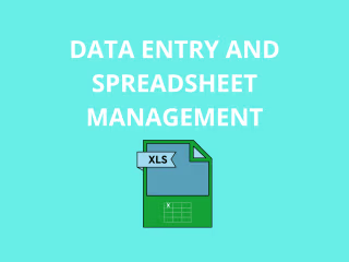 Data Entry and Spreadsheet Management