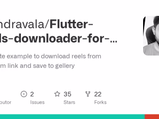 Instagram Reels Downloader