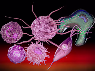 3D Hyper-Realistic Cellular Illustrations