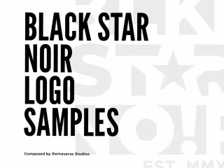 BLACK STAR NOIR LOGO DESIGN SAMPLES