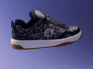 Fashion Sneaker Animation