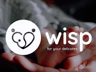 wisp | Kids clothing Brand Visual identity on Behance
