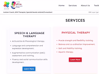 Abuja Special Needs Therapy Limited
