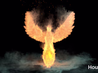 Golden Phoenix