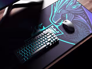 No Fly Zone Gaming - Ready to dominate the Esports arena.