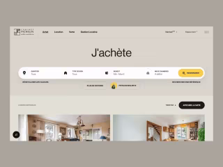 Pichelin Website design