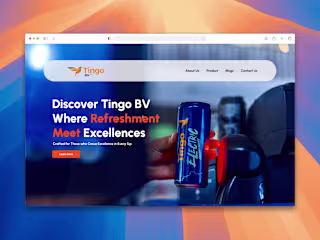 Tingo BV Landing Page Design