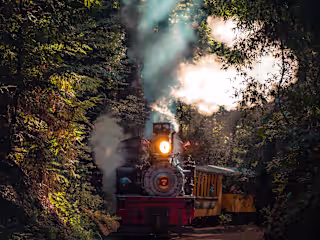Romance: Two Strangers Meet on a Train During a Cross-Country J…